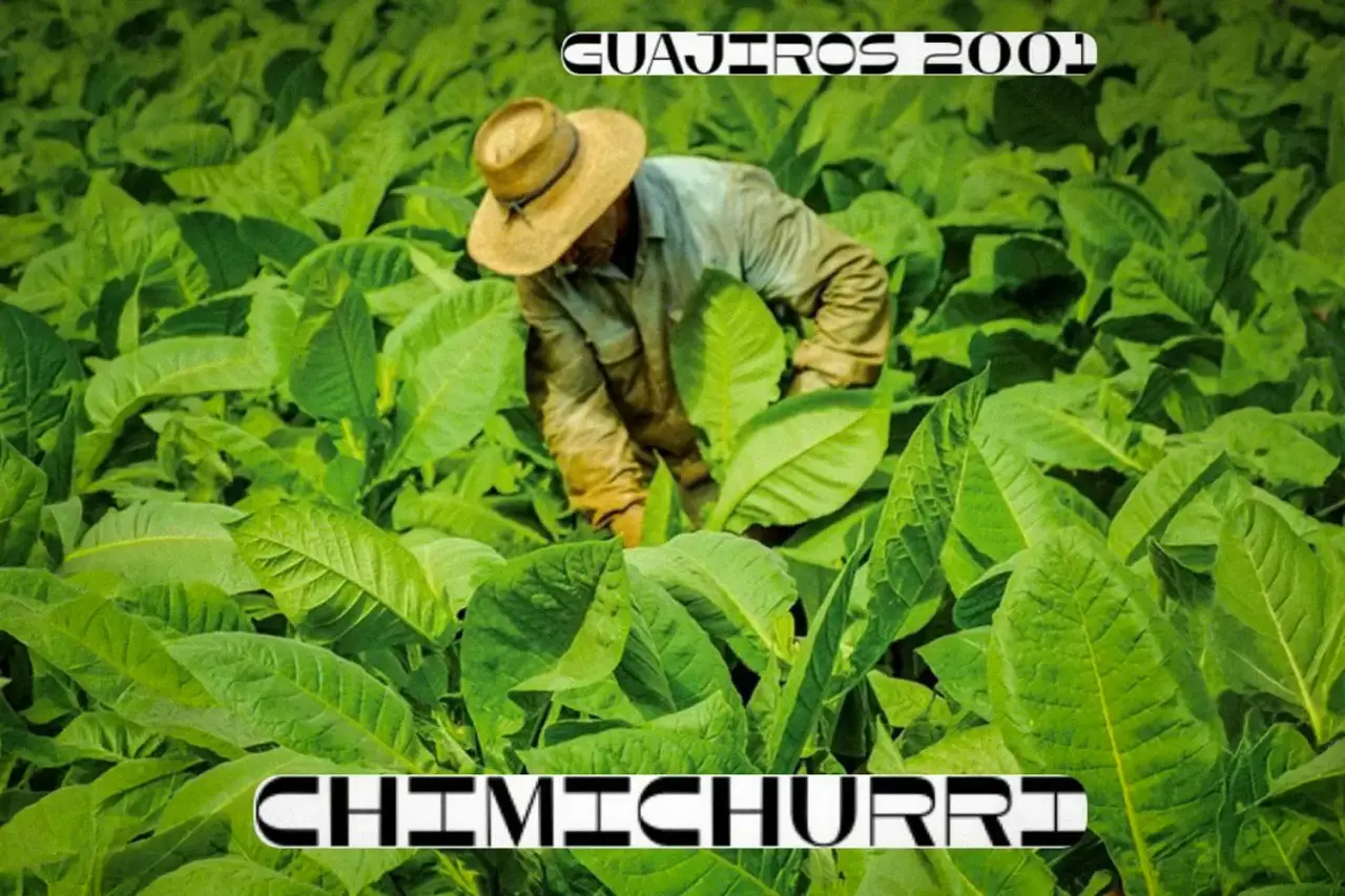 CHIMICHURRI