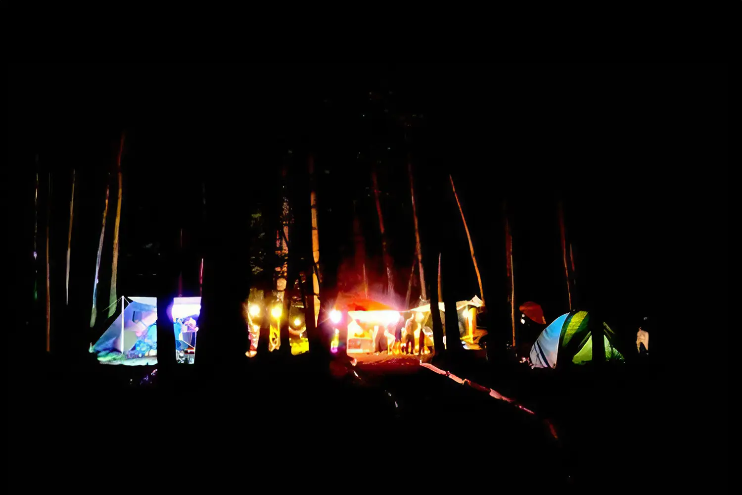 Lovedub in the Forest 2023 mix